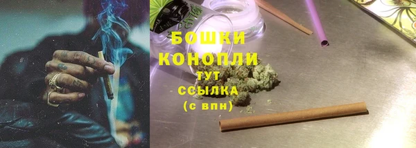 ешки Алзамай