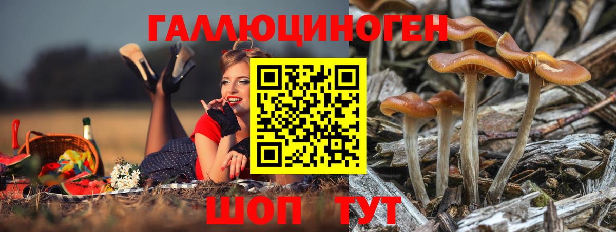 Галлюциногенные грибы Cubensis Киреевск