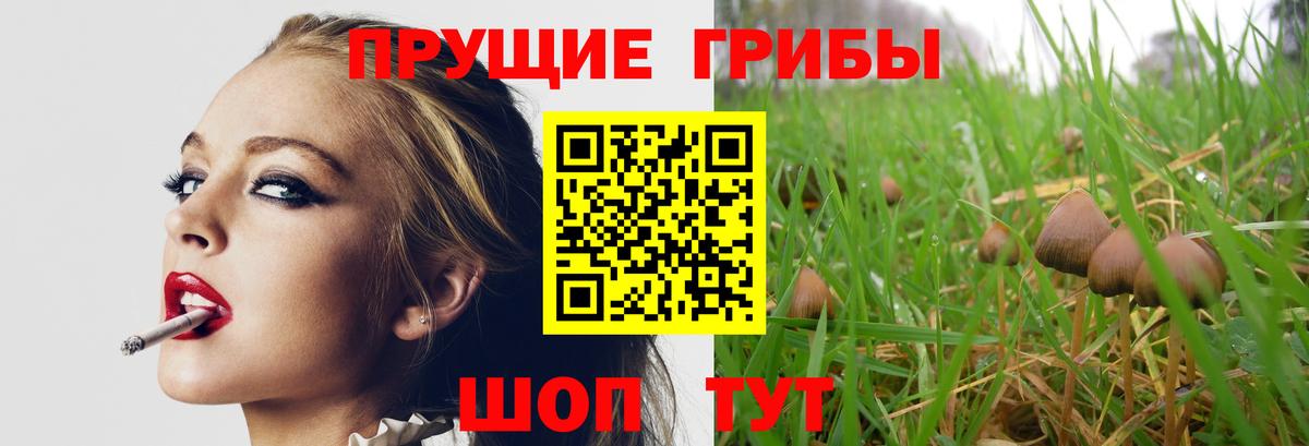Галлюциногенные грибы прущие грибы  Вход с VPN  Галлюциногенные грибы мицелий  Киреевск 