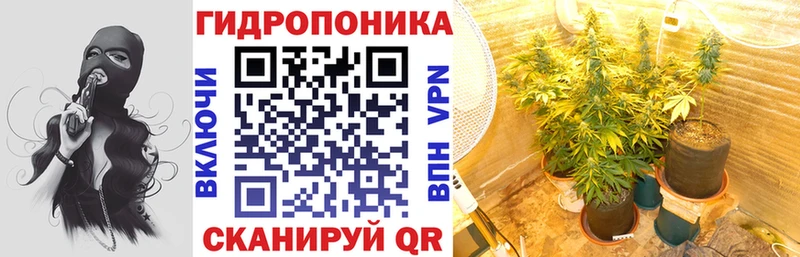 kraken как зайти  Киреевск  Каннабис план 